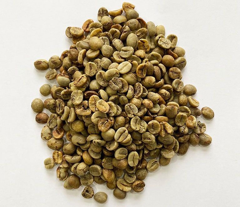 Green Coffee Beans Arabica Unwashed- Size 18