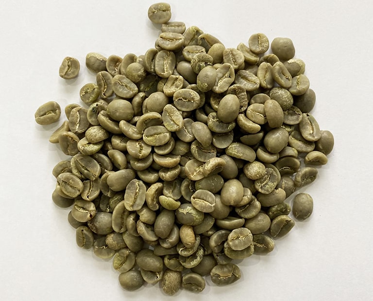 Green Coffee Beans Arabica Washed – Size 18