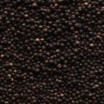 Pepper Industry Market in December of 2021