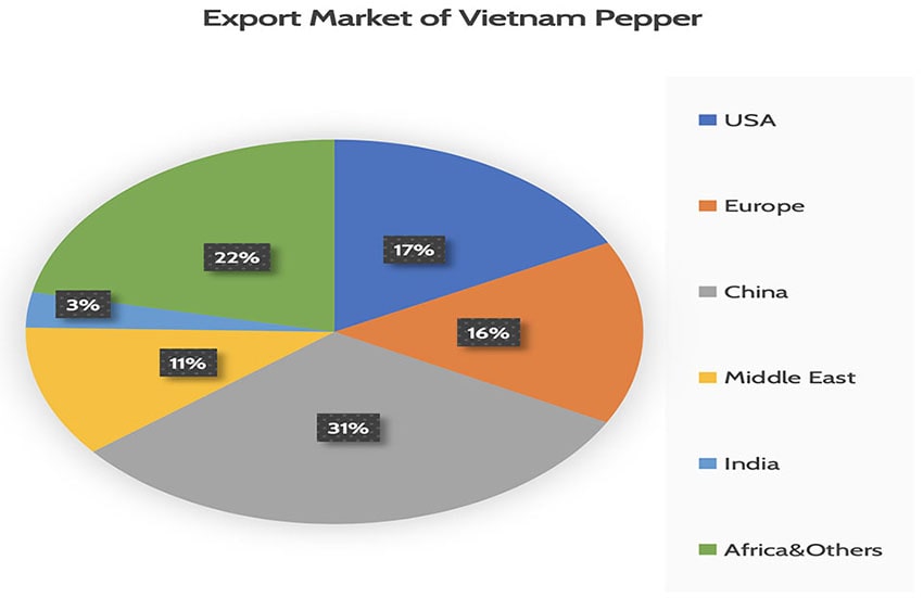 Pepper Industry Market in December of 2021