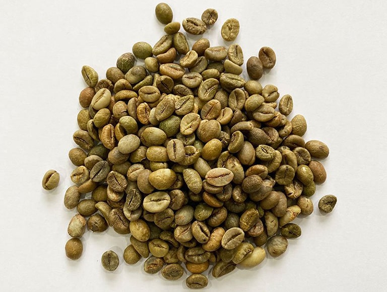 Green Coffee Beans Robusta Clean – Size 16