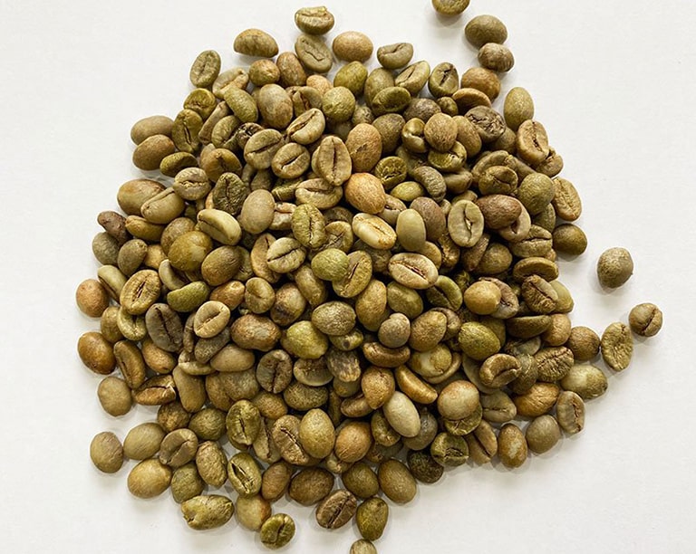 Green Coffee Beans Robusta Clean – Size 18