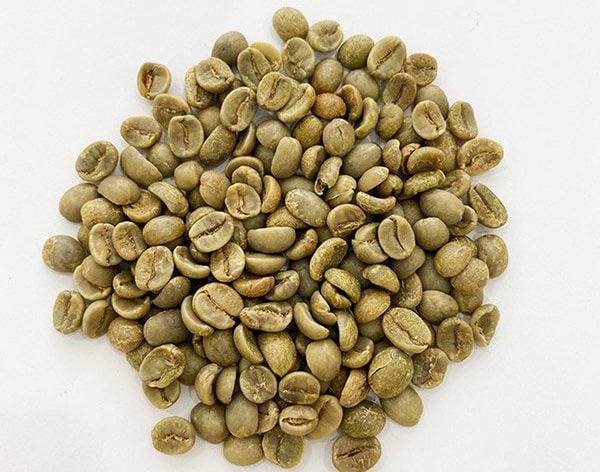 Green Coffee Beans Robusta Clean – Size 20