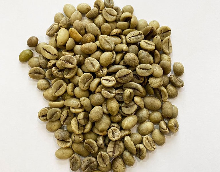 Green Coffee Beans Robusta Wet Polished – Size 18