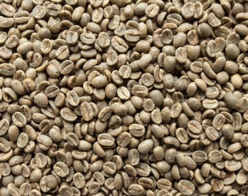 Green Coffee Beans Robusta Wet Polished – Size 20